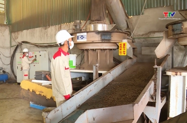 Doanh nghiệp chế biến gỗ nỗ lực tìm kiếm thị trường