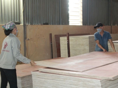 Ngành chế biến gỗ xuất khẩu hồi sinh